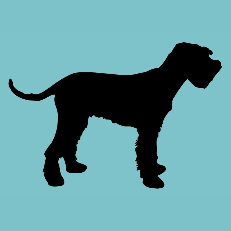 schnauzer géant