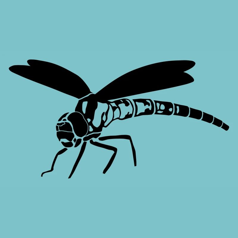 libellule