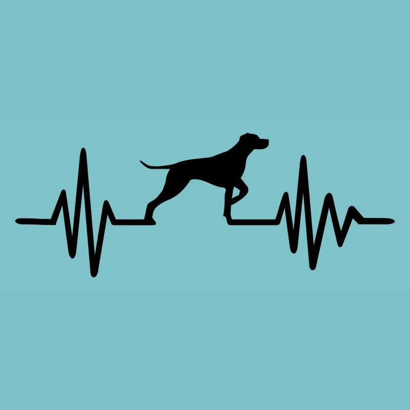 German Shorthaired Pointer