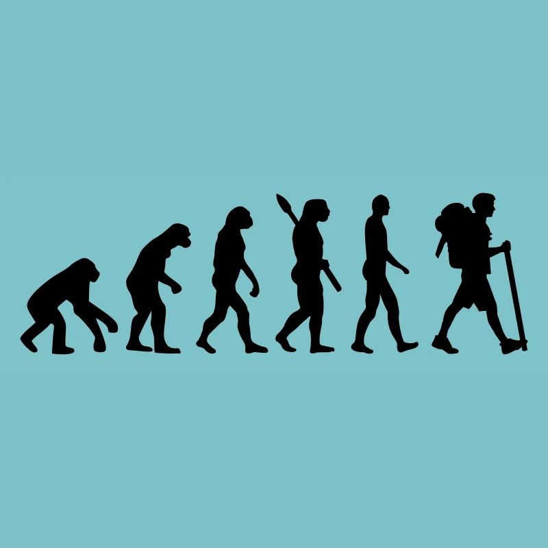 Évolution Cheminement