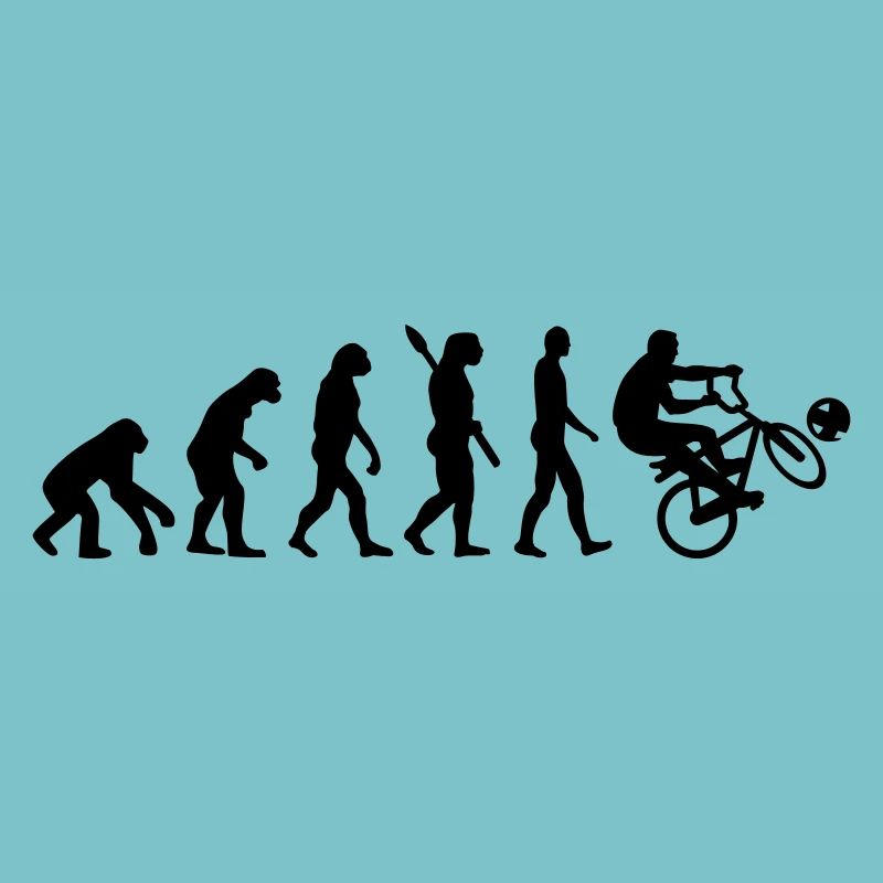 Evolution Cycle ball