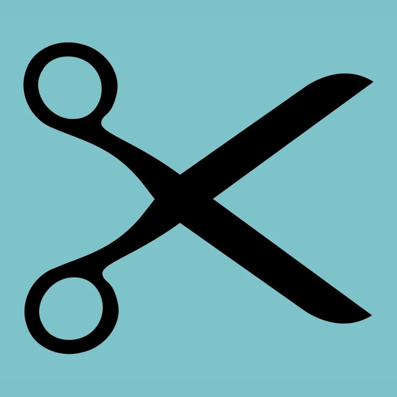 Scissors