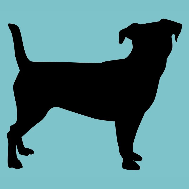 Jack Russel