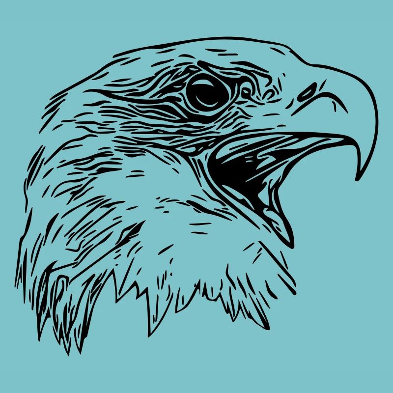 Tête d’aigle - Oiseau de prédant Royal Vector