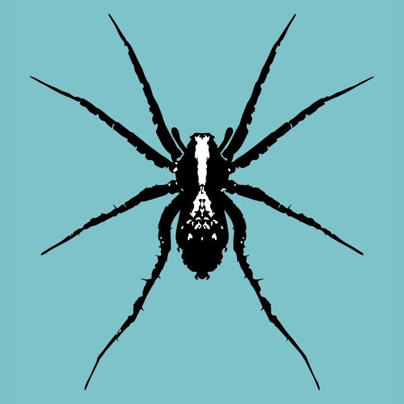 Spinne / Wolfsspinne