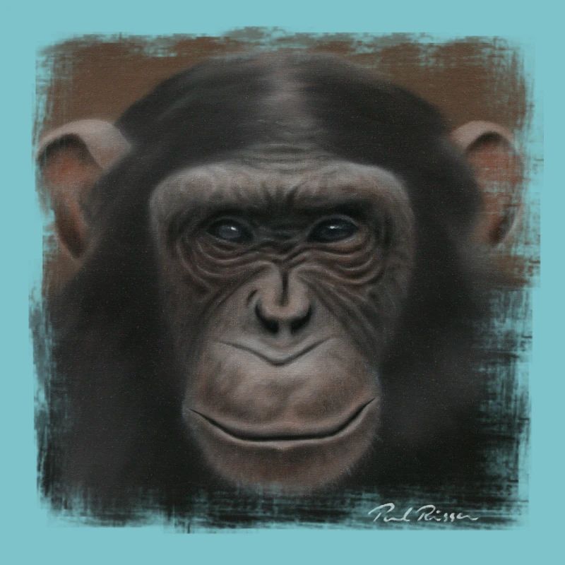 Chimpanzé