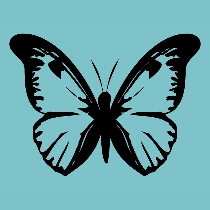 Schmetterling