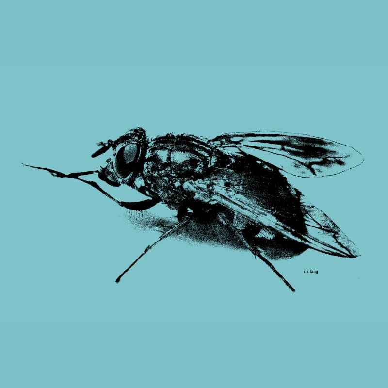 Die Fliege