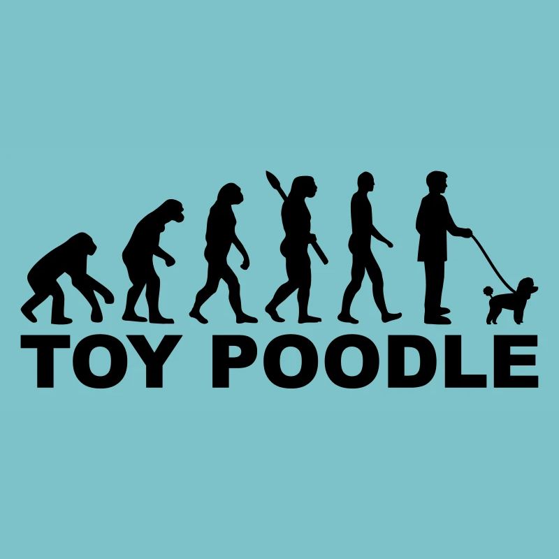 Toy Caniche