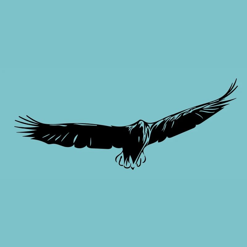 Adler im Gleitflug
