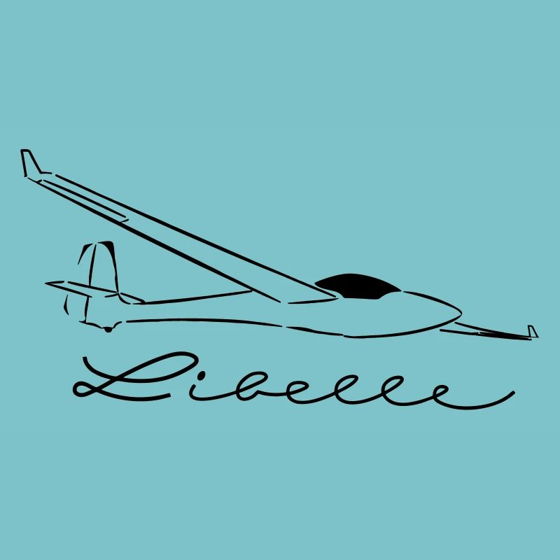 standard libelle winglets