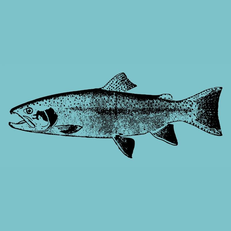 fish131