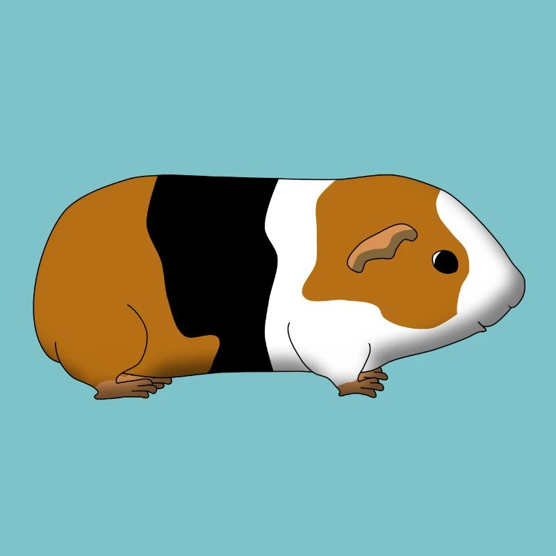 guinea pig