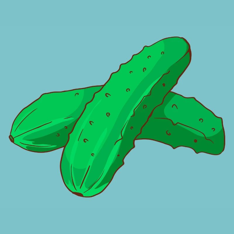 Cornichons cornichons concombres Cornichons concombres