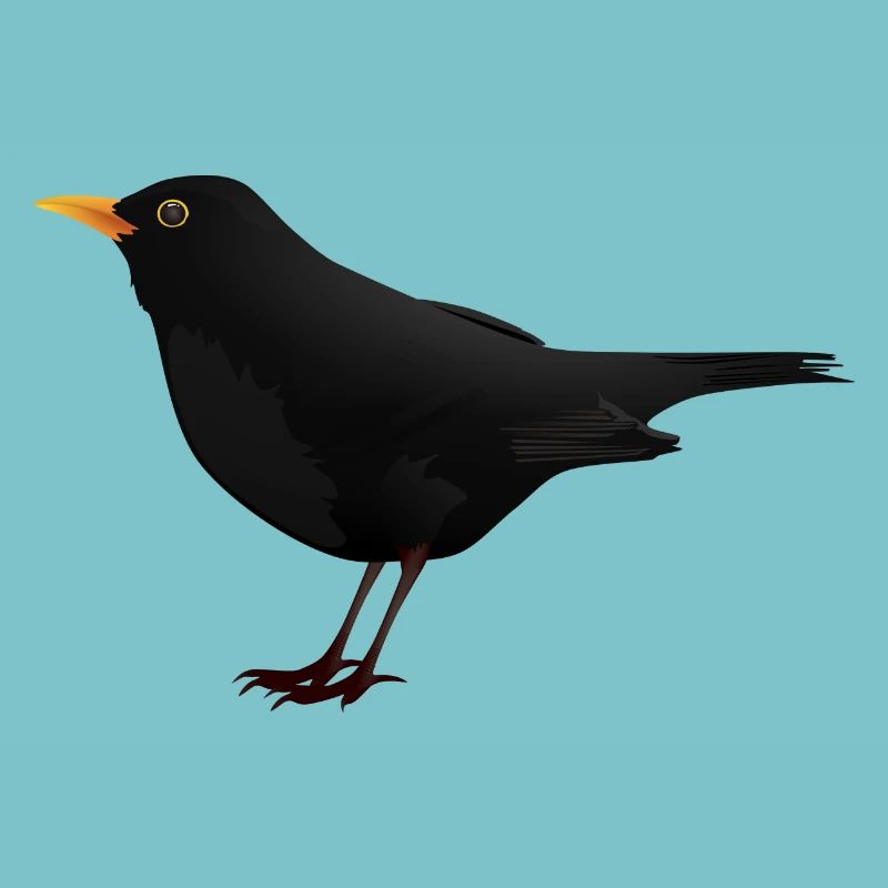 Amsel Drossel Star Vogel Geschenk Geschenkidee