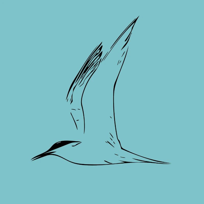 Möwe