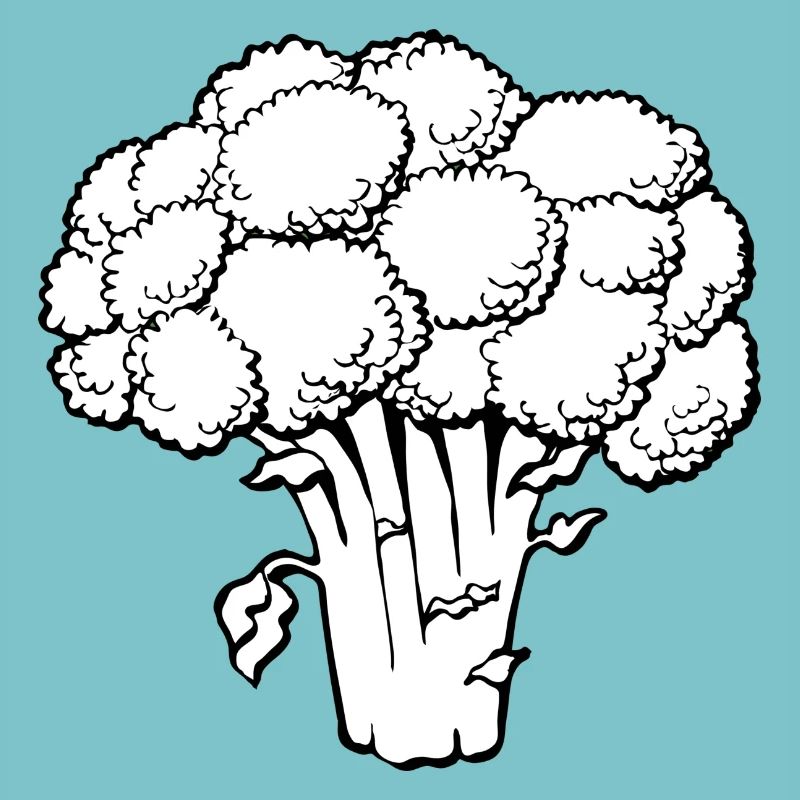 broccoli brocoli veggie gemuese vegetables15