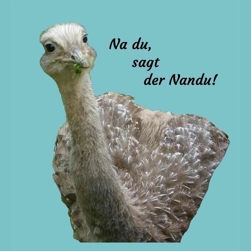 greater rhea
