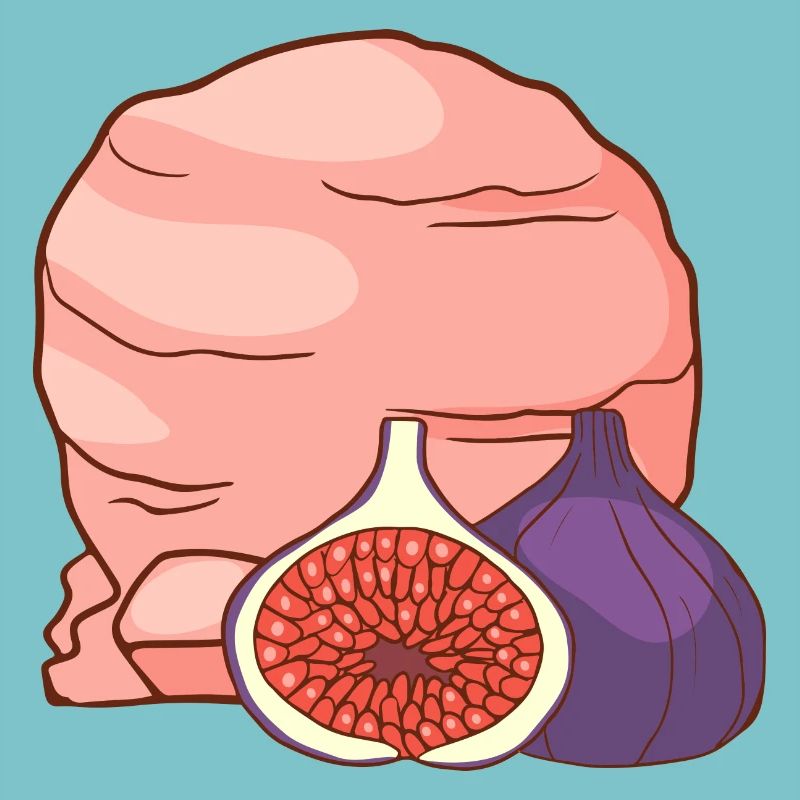 Feigenfrucht Eis Speiseeis Eiskrem Eiscreme