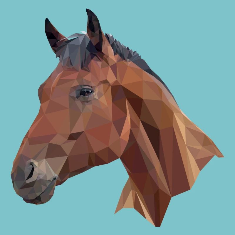 Pferd Poly