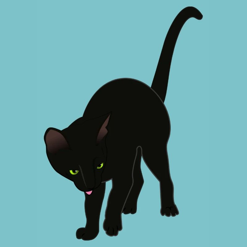 chat noir