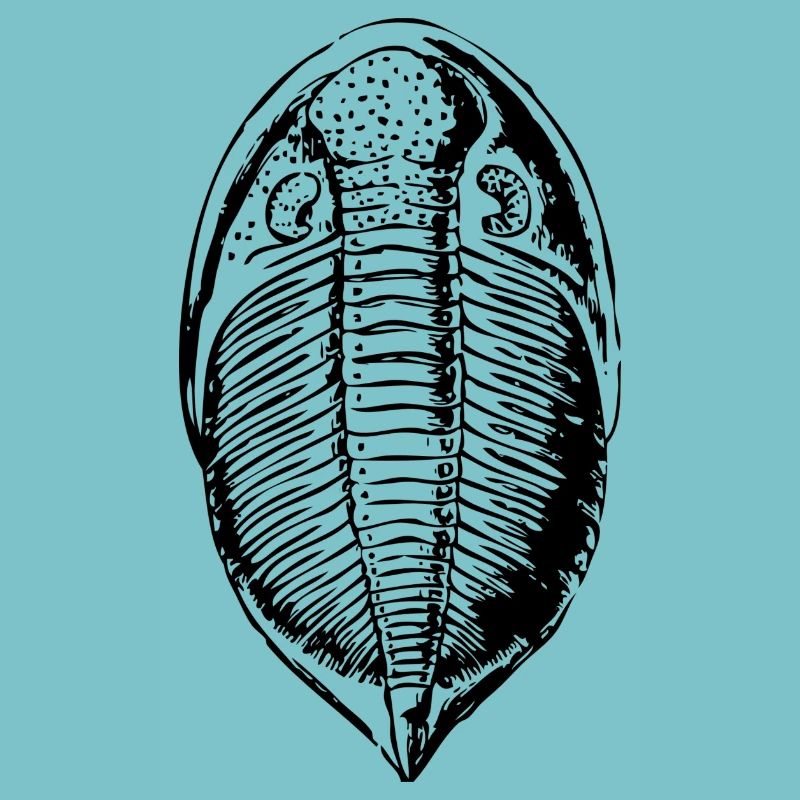 fossile