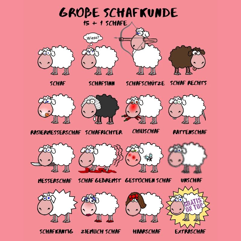 Great sheep knowledge
