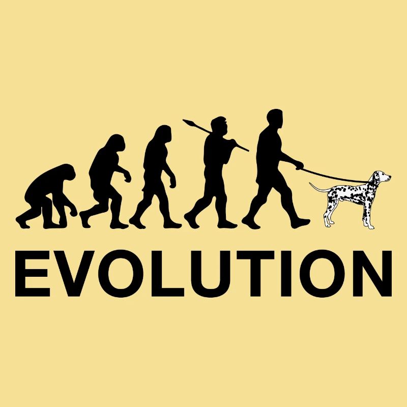Evolution