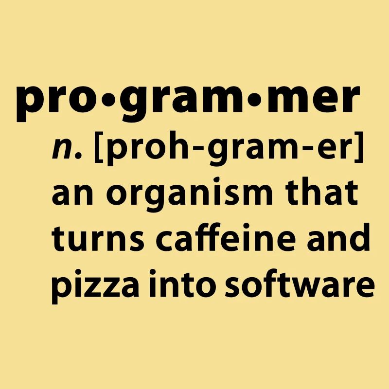 Programmer Wörterbuchdefinition