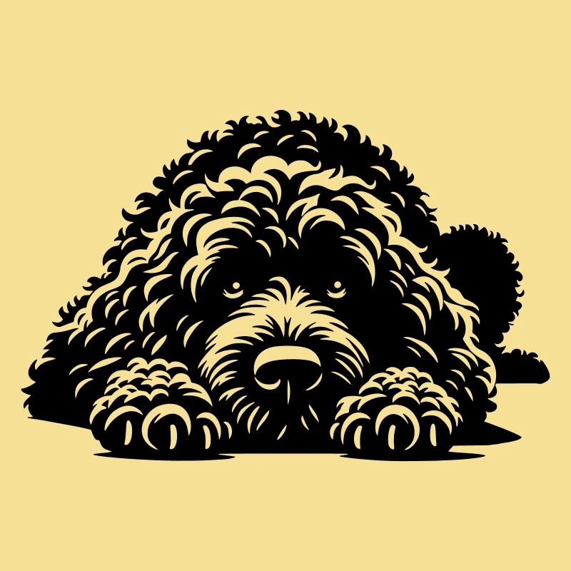 Spanish Water Dog