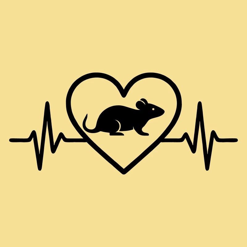 Rat Heart