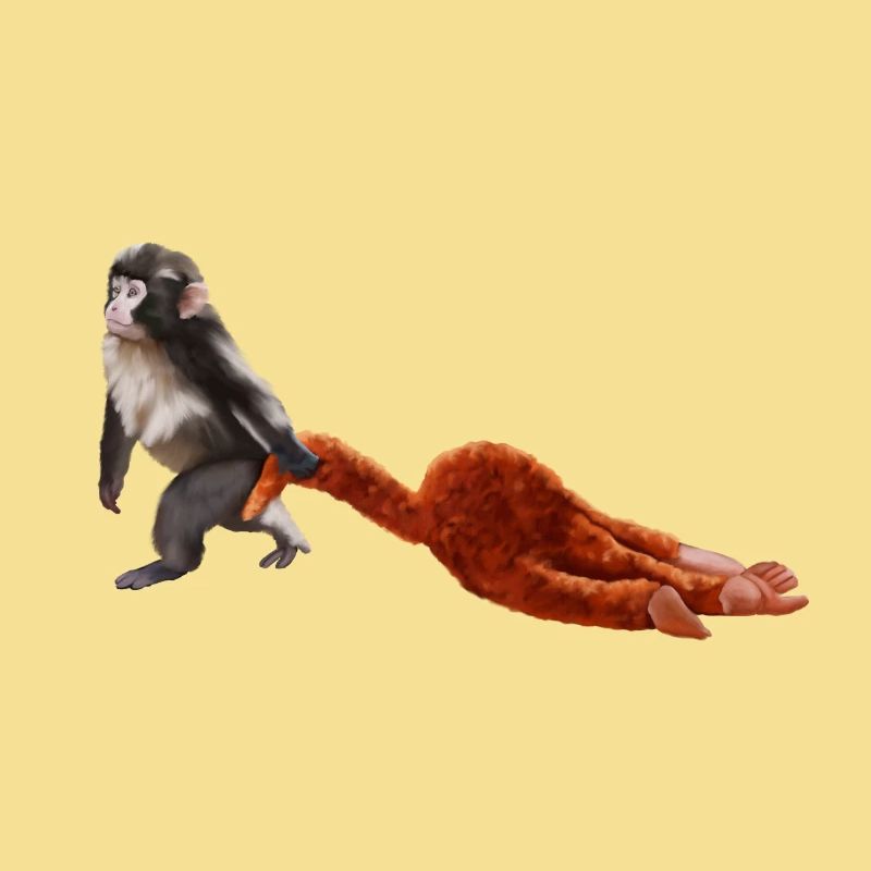 Punch - das kleine Äffchen