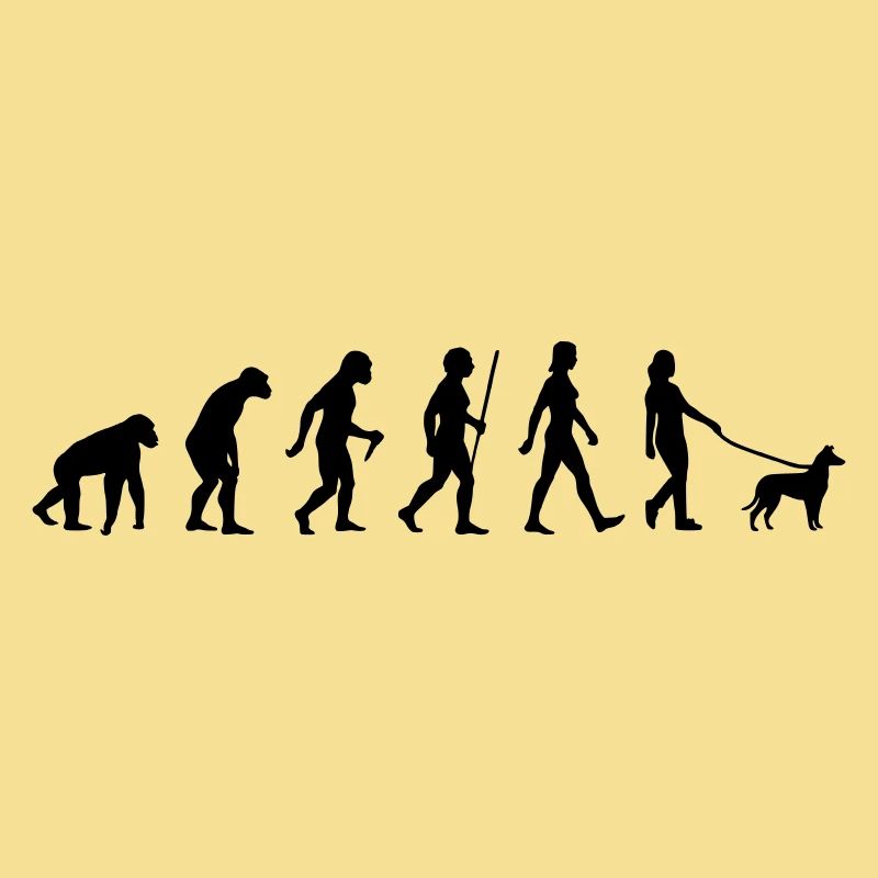 Evolution Kurzhaarcollie Frau