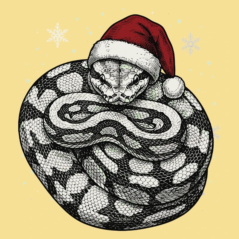 Königspython Weihnachten Ball Python Schlange
