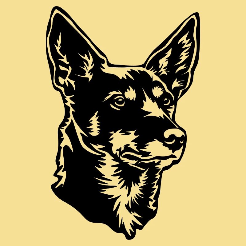 Australian kelpie head