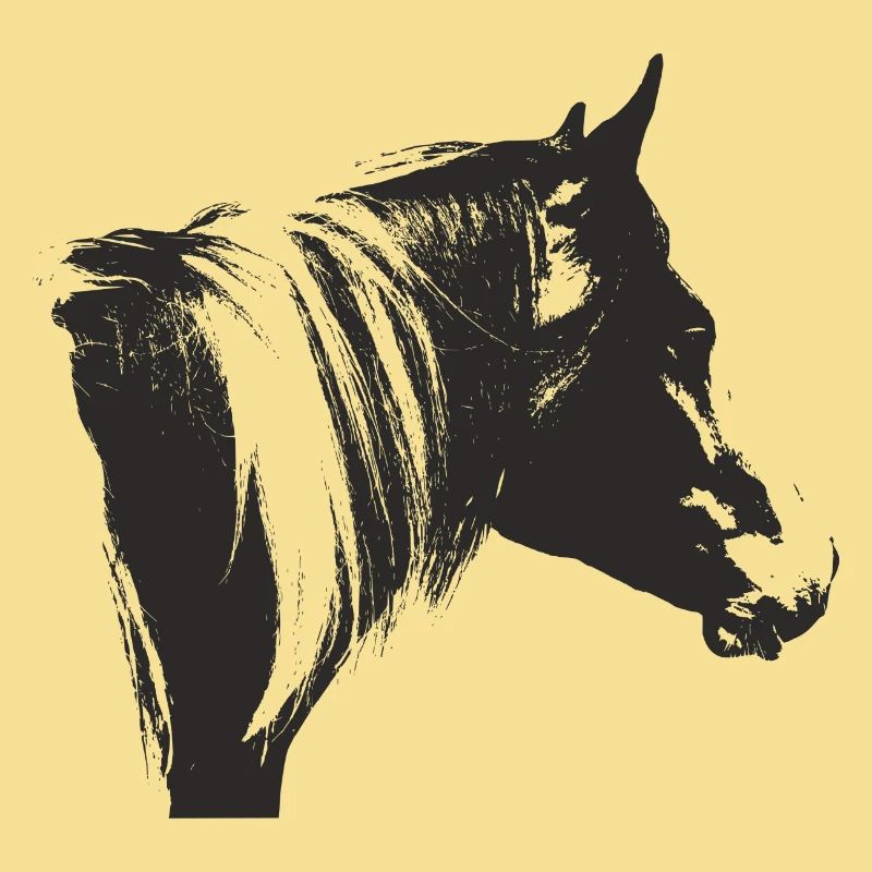 Lewitzer Schecke, Pferd Schecke, Pinto