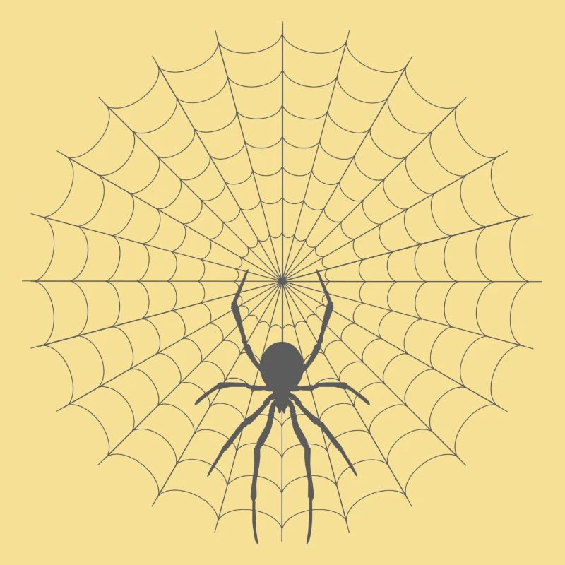 Spider Web Silhouette