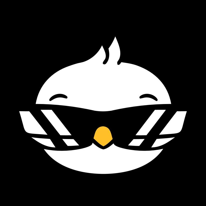 Bird Sunglasses Cool Black Glasses Coolness