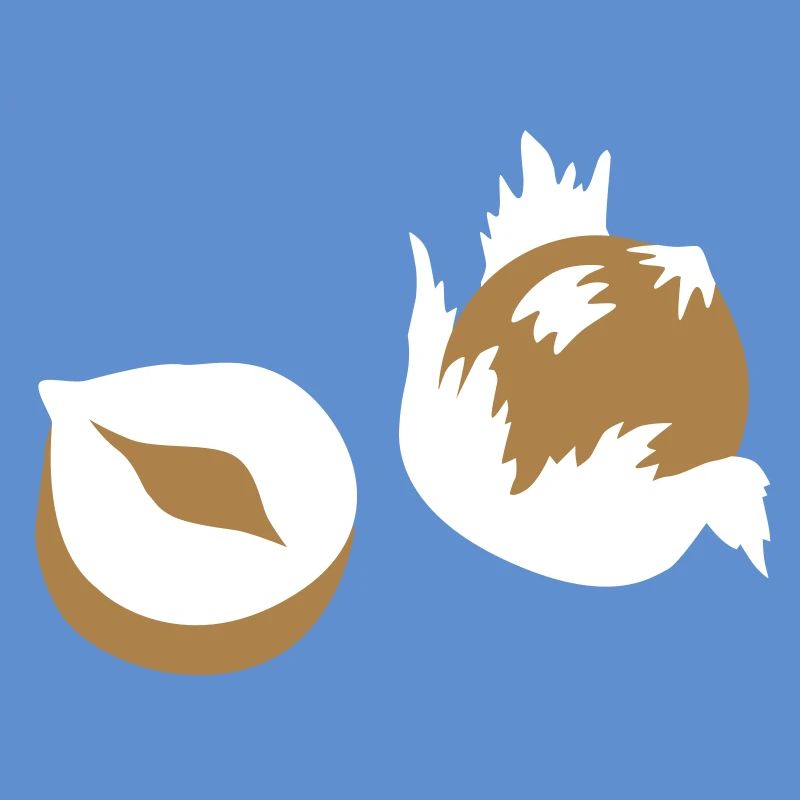 Écrou - Noix - Nuts - 2C