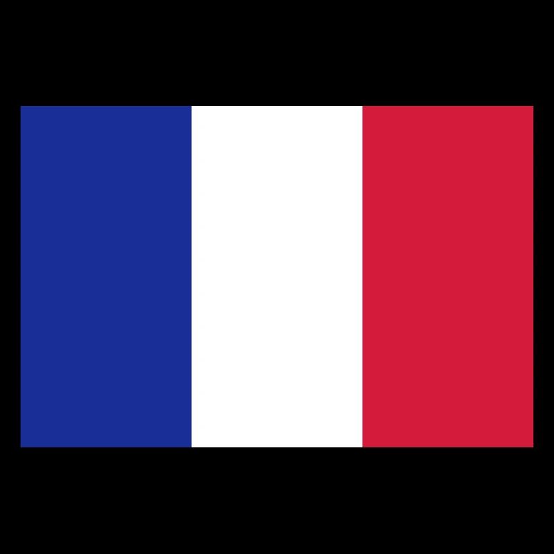 Drapeau français / French flag