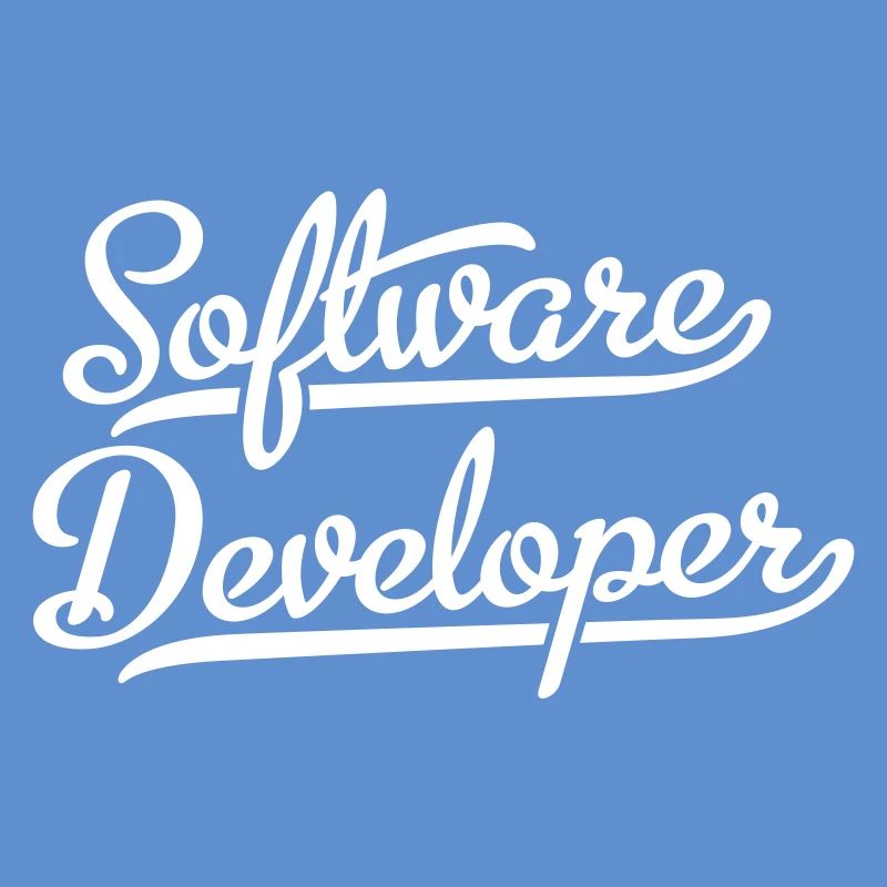 Software Developer