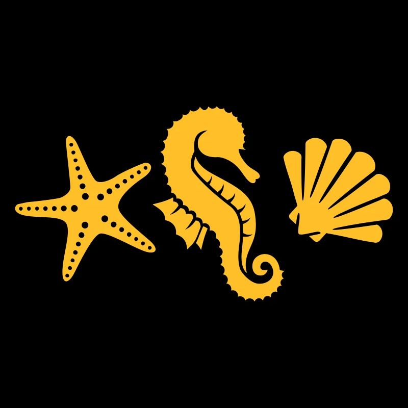 Coquillage