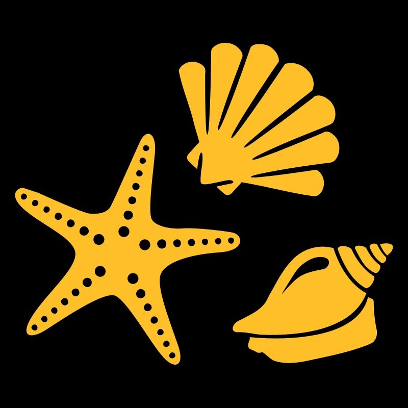 Coquillage