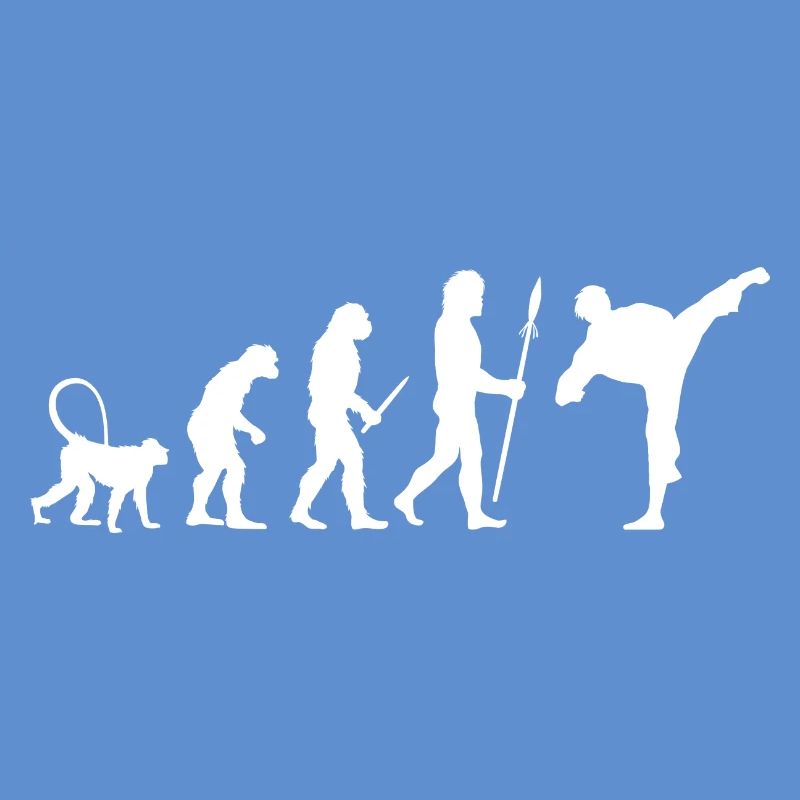 Karate Evolution