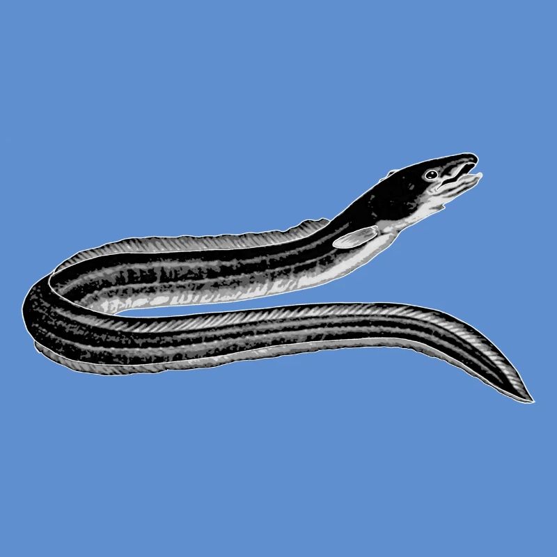 ca.