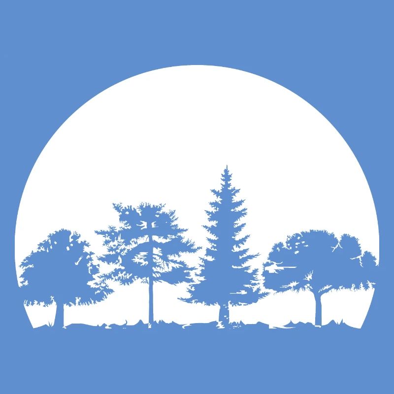 Forest, Moon, Mixed Forest, Nature, Oak, Beech, Birch, Spruce