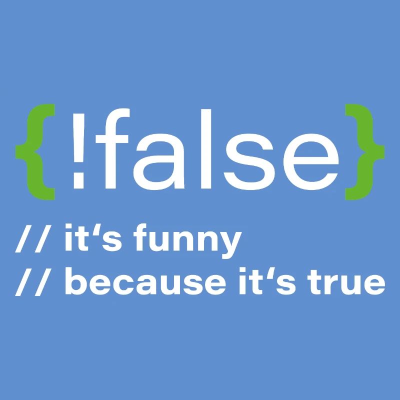 false – Funny programmer saying