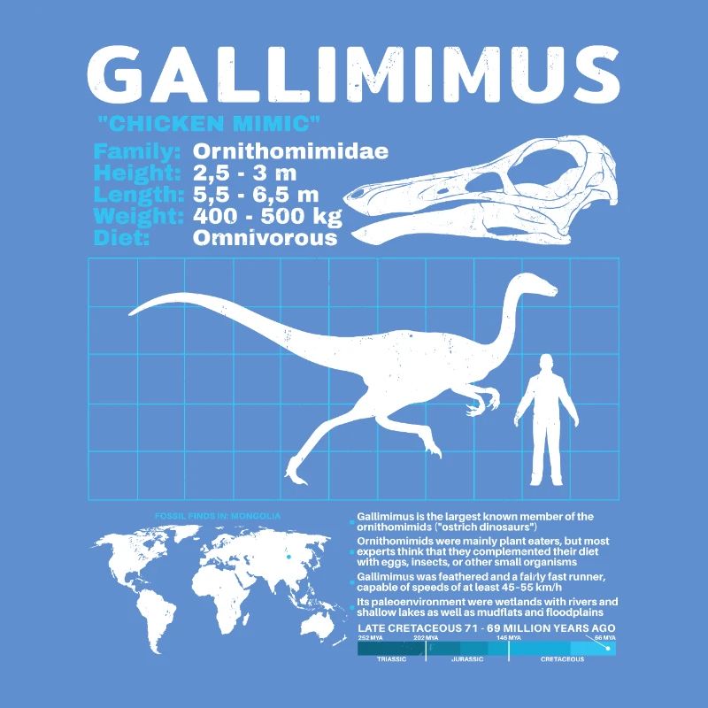 Gallimimus Fact Sheet