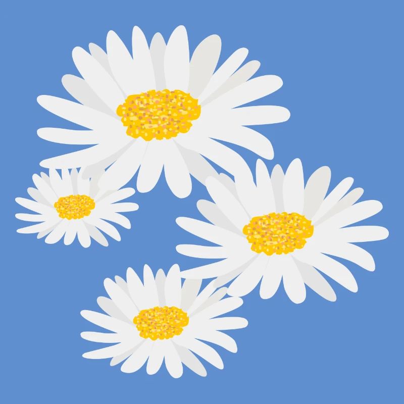 Blume Gänseblümchen
