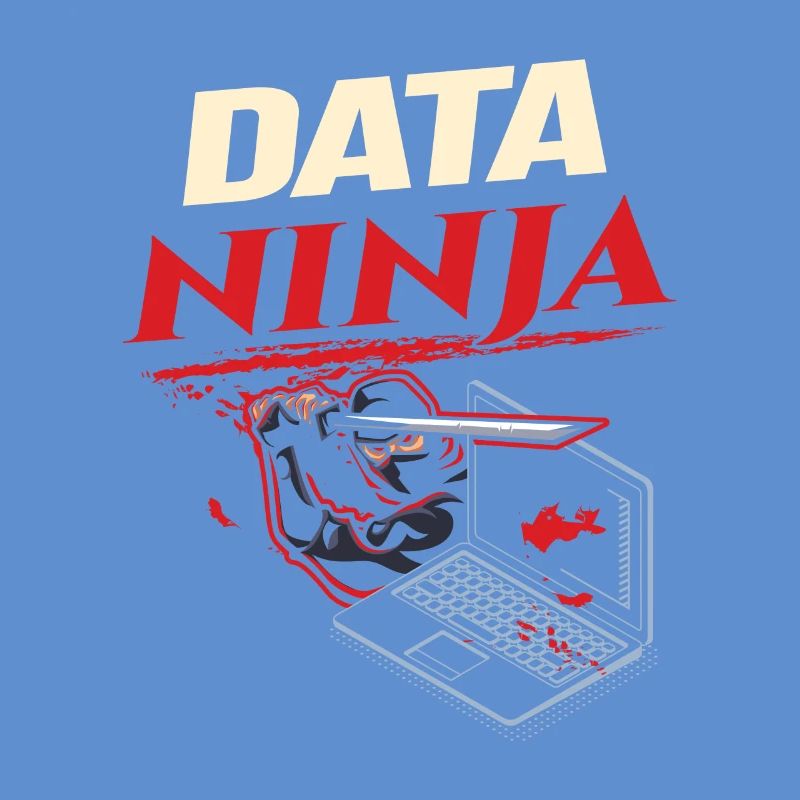 Data Ninja computer programming coder